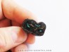 Equus complicatus tooth with chrysocola -RARE- (2)