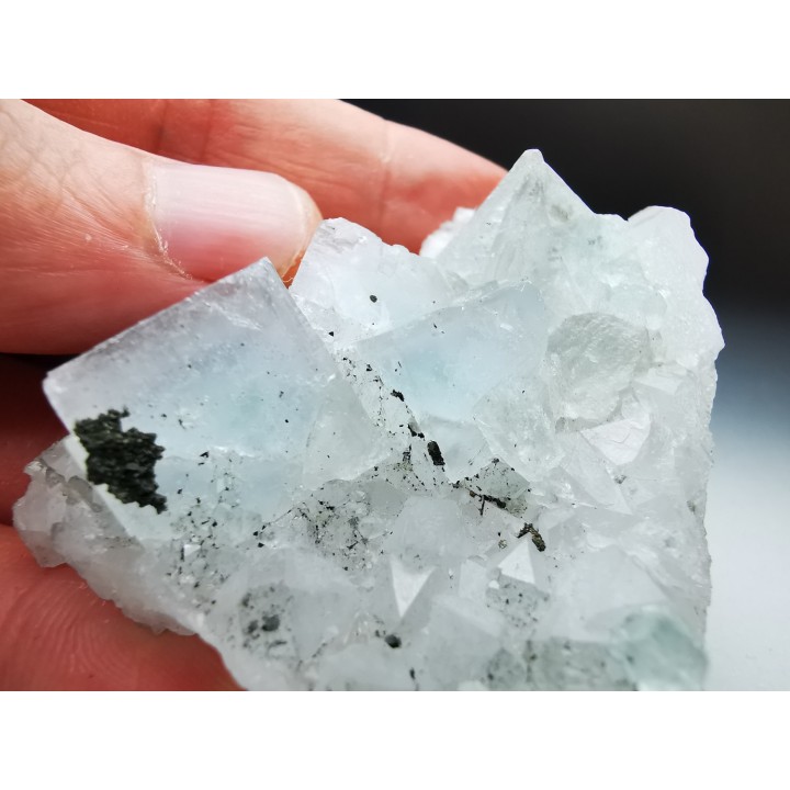 Fluorite, Le Burc Mine (81), France