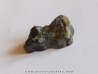 dent de Equus complicatus avec chrysocole -RARE- (5)
