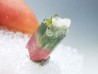 Tourmaline ELBAITE de l'Afghanistan