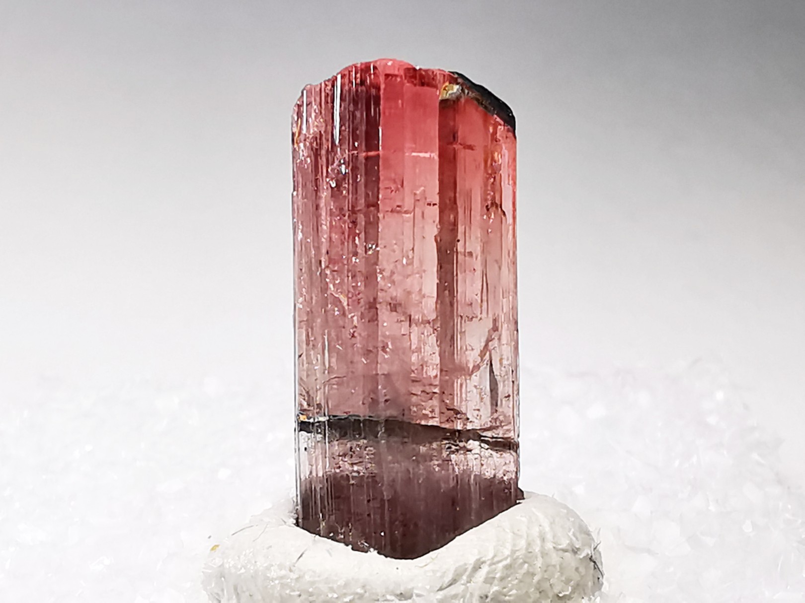 Tourmaline ELBAITE de l'Afghanistan