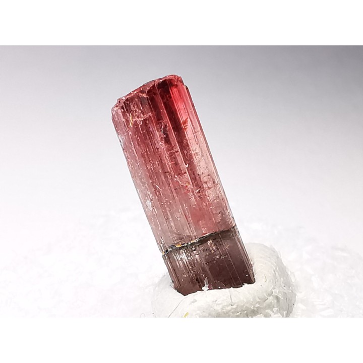 Tourmaline ELBAITE de l'Afghanistan