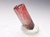 Tourmaline ELBAITE de l'Afghanistan