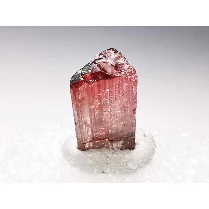 Tourmaline ELBAITE de l'Afghanistan