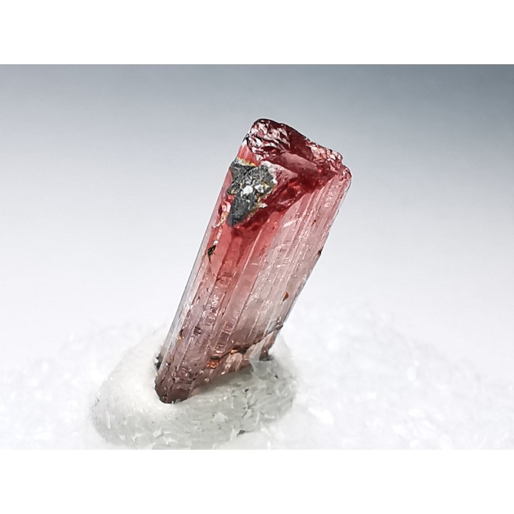 Tourmaline ELBAITE de l'Afghanistan
