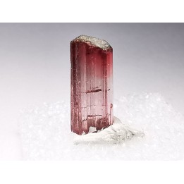 Tourmaline ELBAITE from Afghanistan