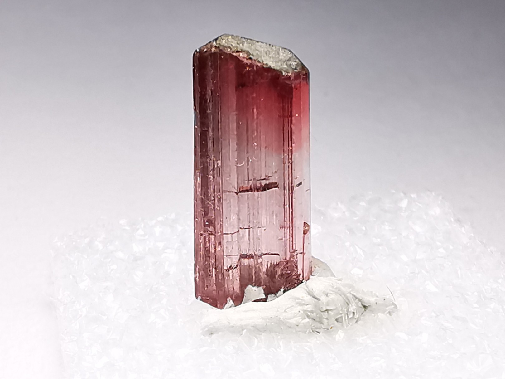 Tourmaline ELBAITE de l'Afghanistan