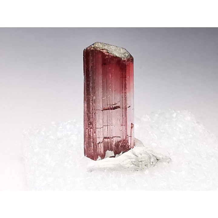 Tourmaline ELBAITE from Afghanistan