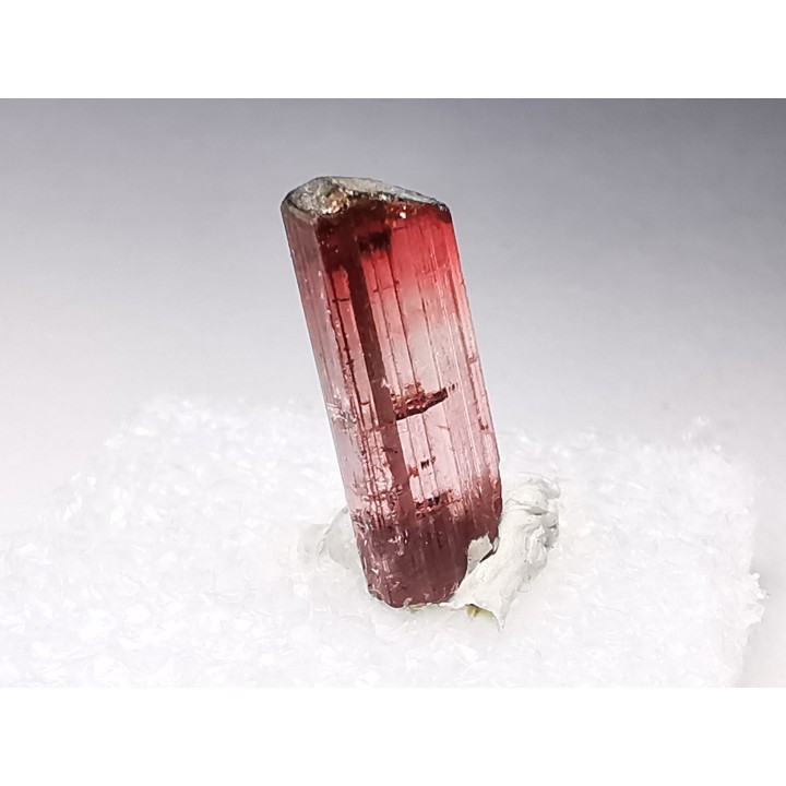 Tourmaline ELBAITE from Afghanistan