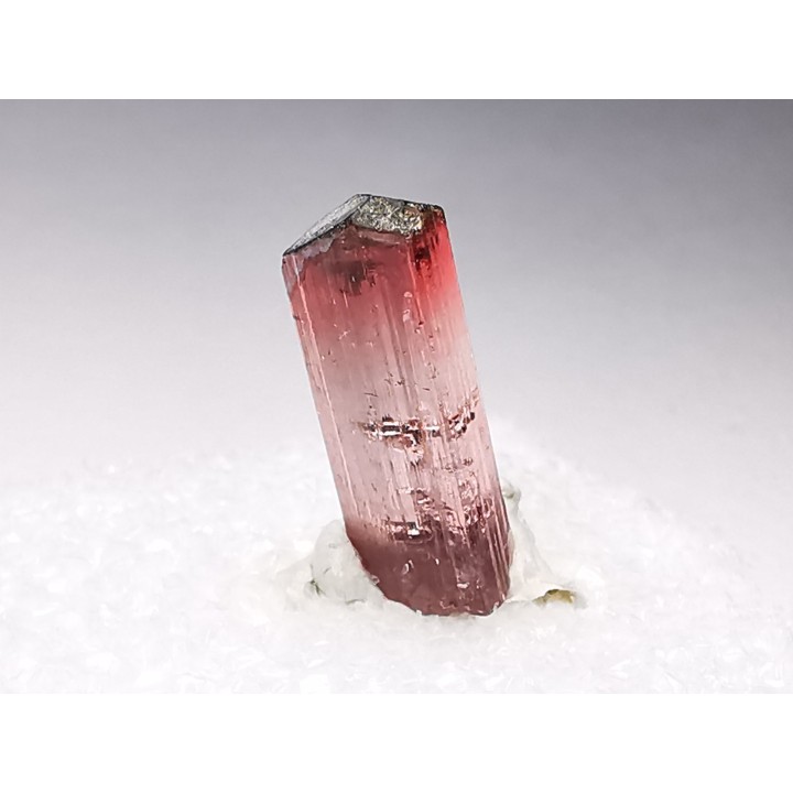 Tourmaline ELBAITE from Afghanistan