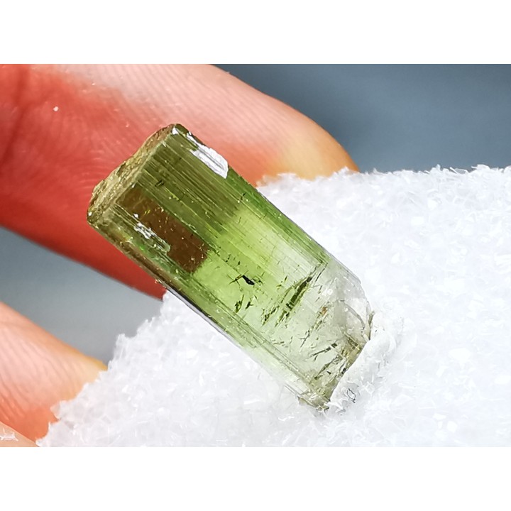 Tourmaline ELBAITE de l'Afghanistan