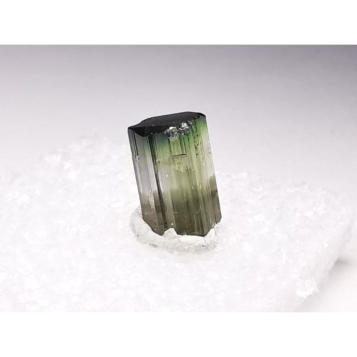 Tourmaline ELBAITE de l'Afghanistan