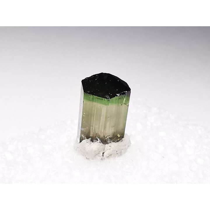 Tourmaline ELBAITE de l'Afghanistan
