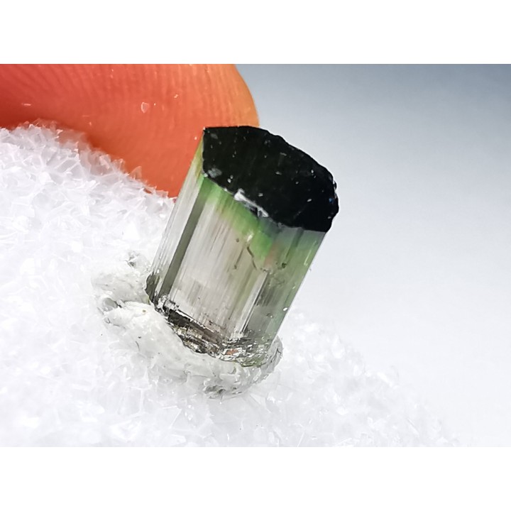 Tourmaline ELBAITE de l'Afghanistan