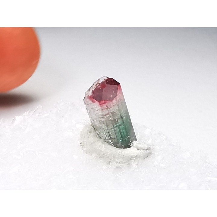 Tourmaline ELBAITE de l'Afghanistan