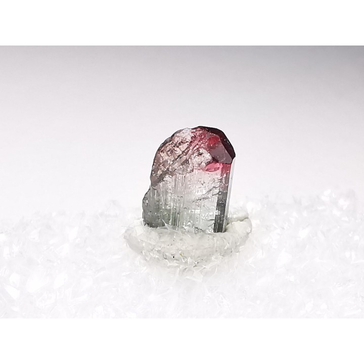Tourmaline ELBAITE de l'Afghanistan