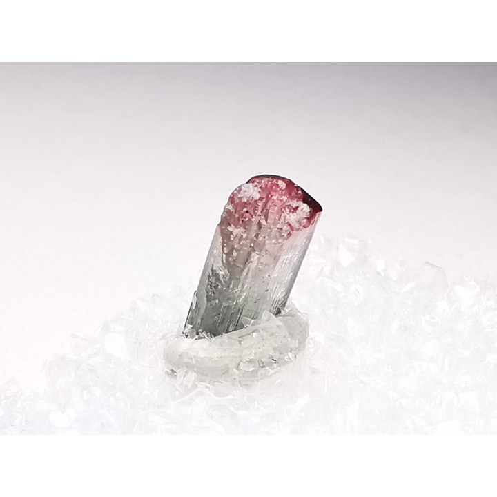 Tourmaline ELBAITE de l'Afghanistan