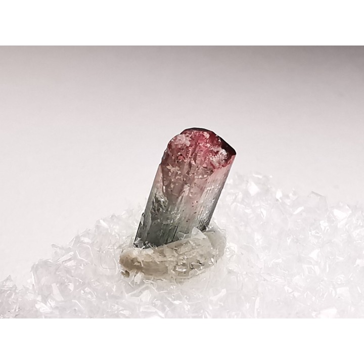 Tourmaline ELBAITE de l'Afghanistan