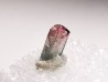 Tourmaline ELBAITE de l'Afghanistan
