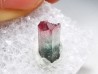 Tourmaline ELBAITE de l'Afghanistan