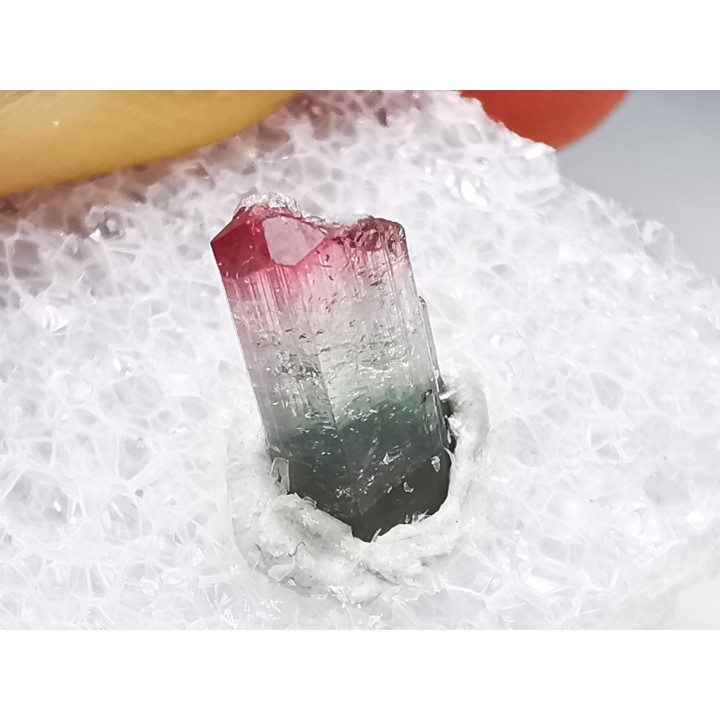 Tourmaline ELBAITE de l'Afghanistan