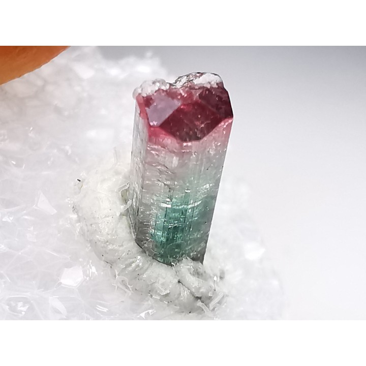 Tourmaline ELBAITE de l'Afghanistan