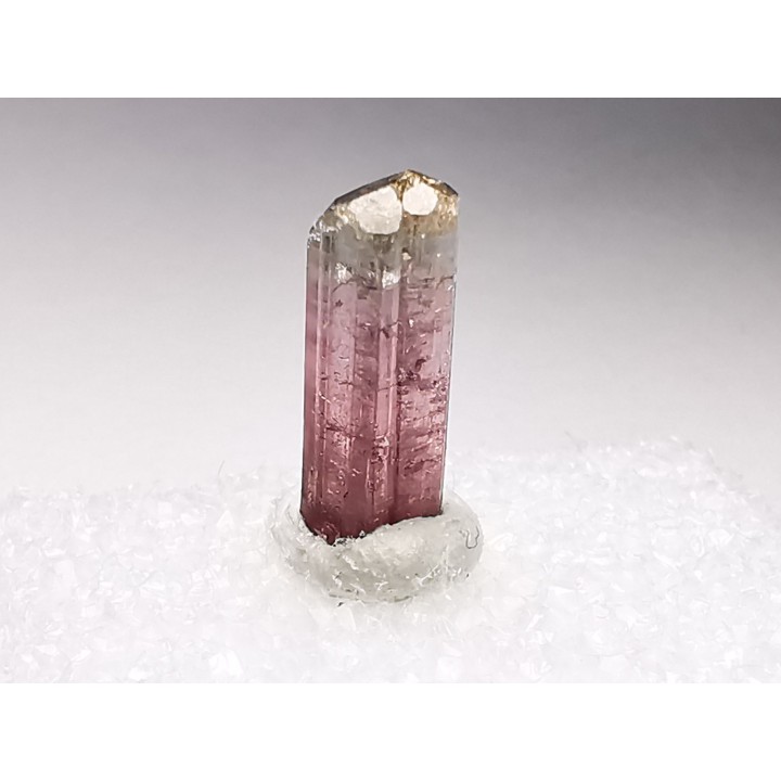 Tourmaline ELBAITE de l'Afghanistan
