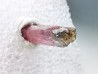 Tourmaline ELBAITE from Afghanistan
