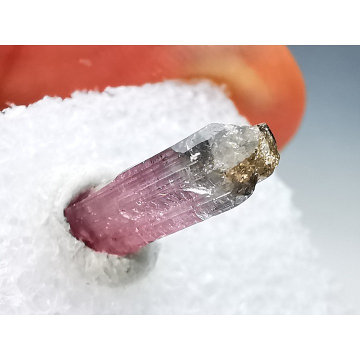 Tourmaline ELBAITE de l'Afghanistan
