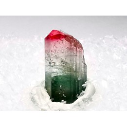 Tourmaline ELBAITE de l'Afghanistan
