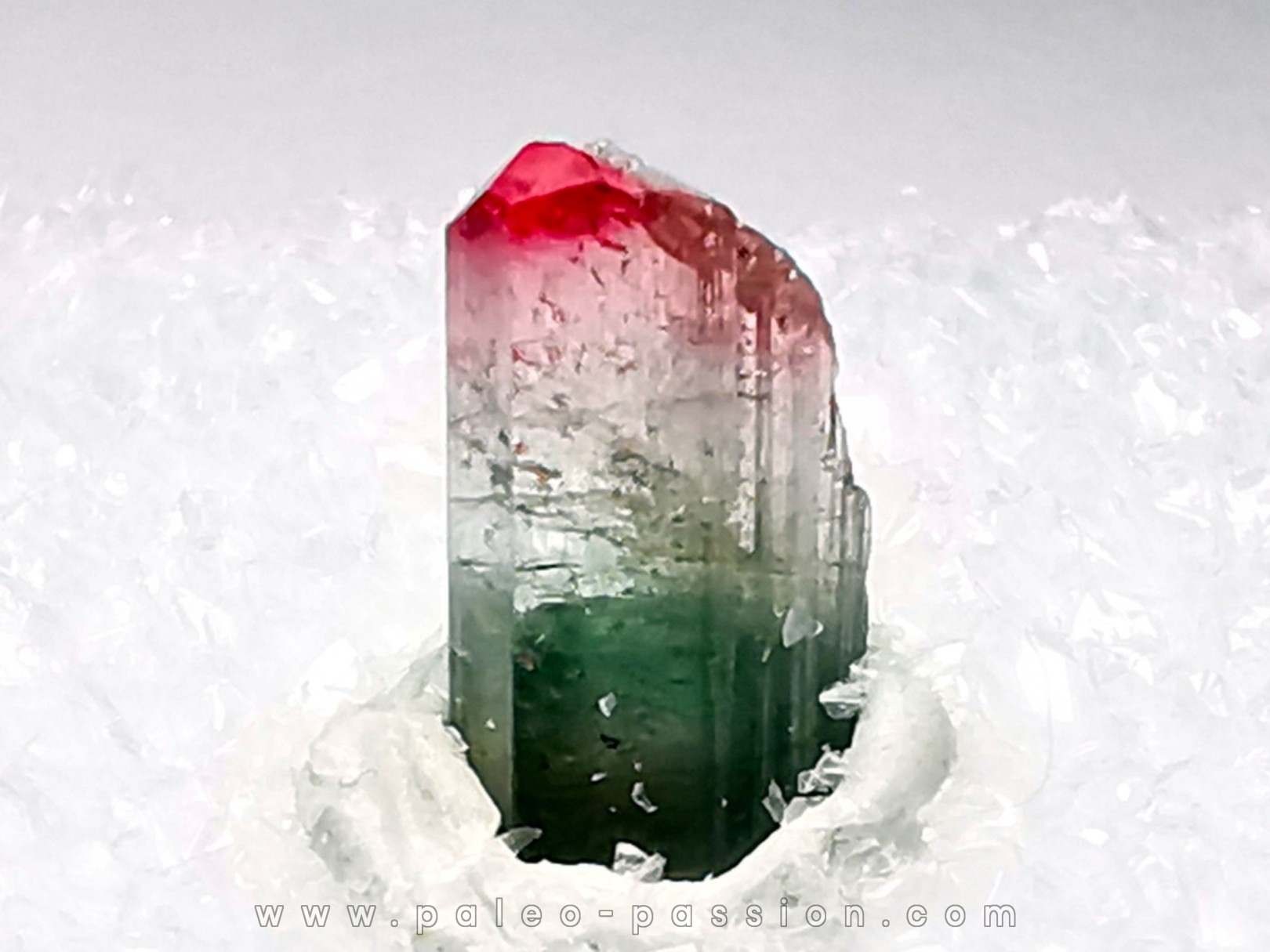 Tourmaline ELBAITE from Afghanistan