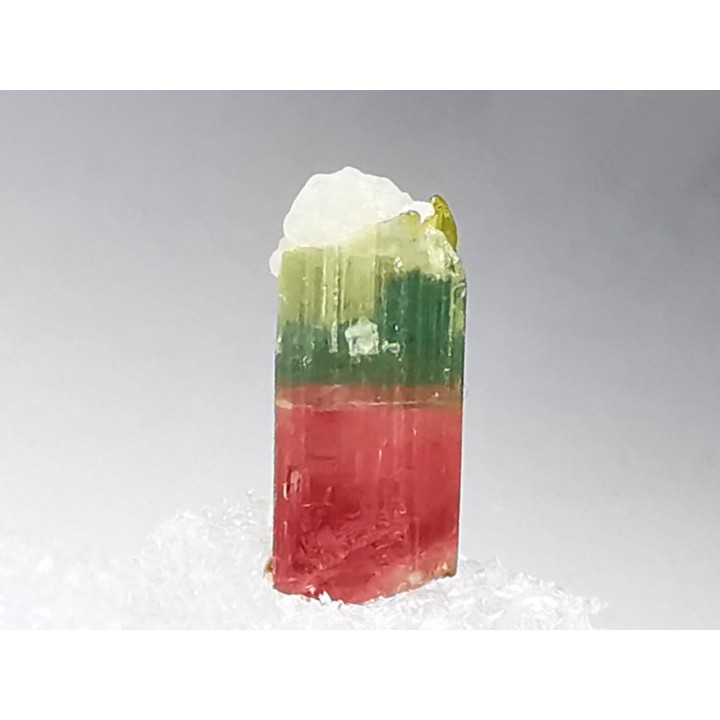 Tourmaline ELBAITE de l'Afghanistan