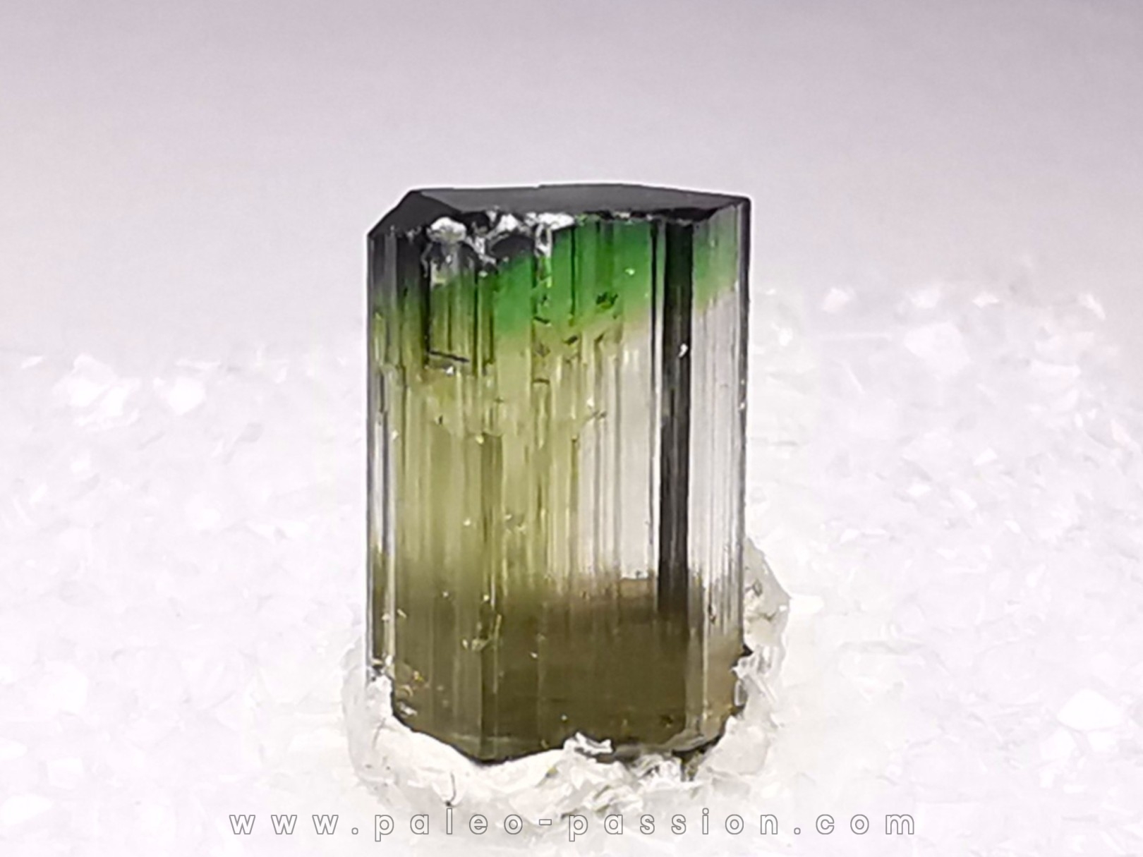 Tourmaline ELBAITE from Afghanistan