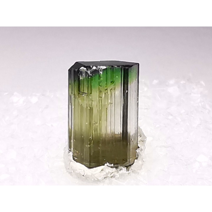 Tourmaline ELBAITE de l'Afghanistan