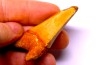 shark teeth: Carcharodon carcharias - Mio-Pliocene, Quezon province, PHILIPPINES