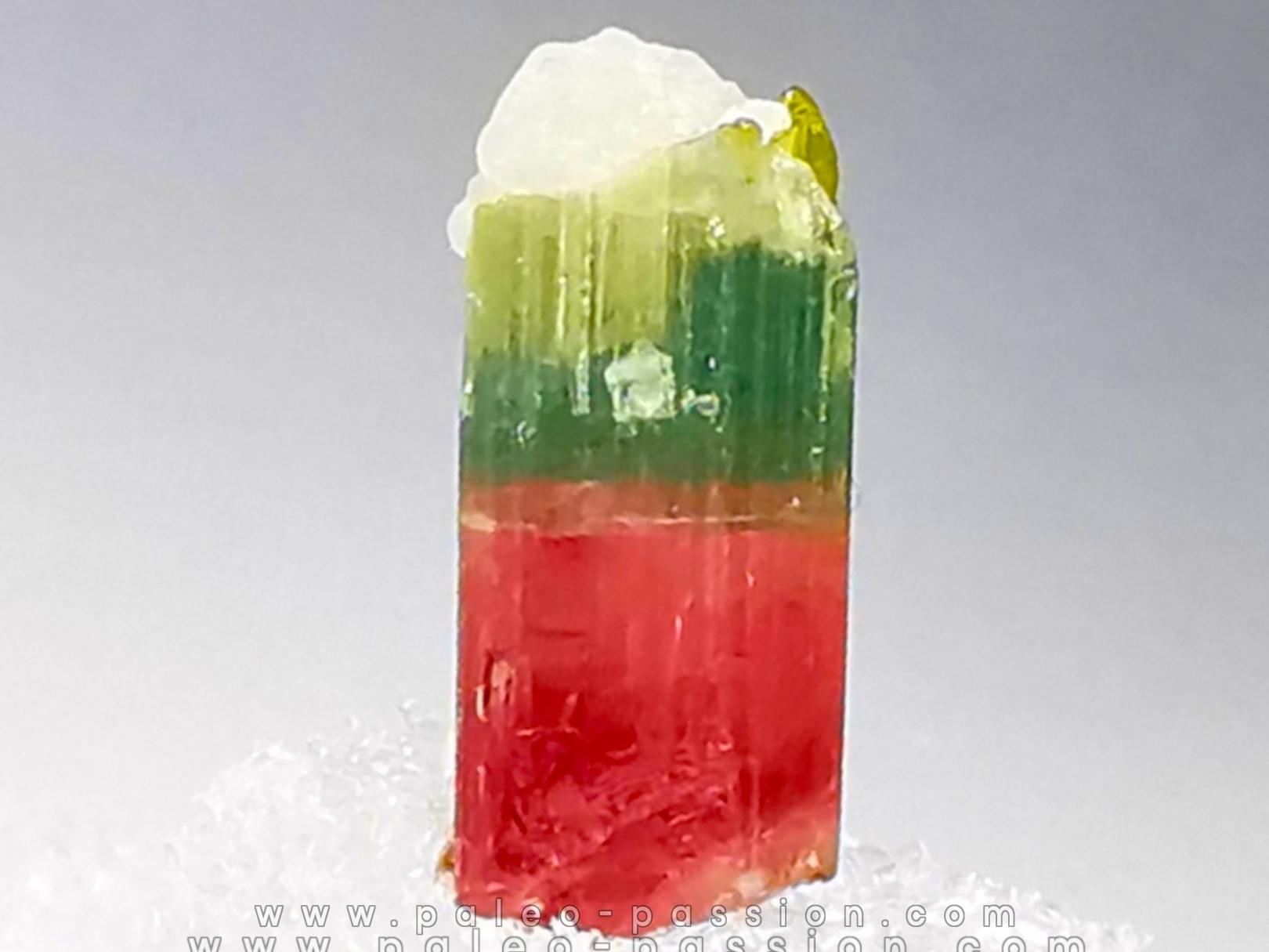 Tourmaline ELBAITE de l'Afghanistan