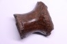 vertebra dinosaur hadrosaure : edmontosaure