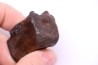 vertebra dinosaur hadrosaure : edmontosaure
