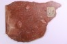 "red limestone series"  geosyncline  early Proterozoic  Labrador canada