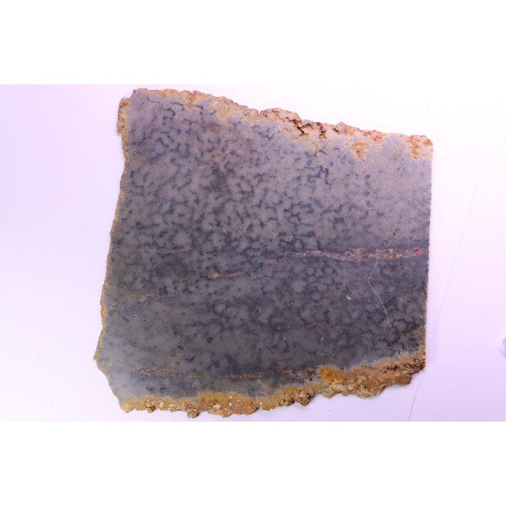 Stromatolithes - Medicine Bow Quartzite - early proterozoic  Medicine Bow Mts, Wyoming, USA