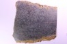 Stromatolithes - Medicine Bow Quartzite - early proterozoic  Medicine Bow Mts, Wyoming, USA