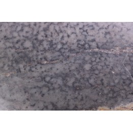 Stromatolithes - Medicine Bow Quartzite  early proterozoic  Medicine Bow Mts, Wyoming, USA