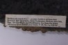 Stromatolithes - Medicine Bow Quartzite - early proterozoic  Medicine Bow Mts, Wyoming, USA