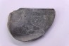 LAEVAPTYCHUS LATUS - Kimmeridgien - Formation des argiles de Chatillon - Audresselles, Boulonnais, FRANCE