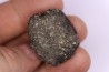 scute de dinosaure : Sauropelta edwardsorum (Ankylosaurien) - Crétacé Inférieur - CLOVERLY Fmt, Bighorn Co, Wyoming, USA
