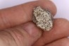 Dinosaur scute:  Sauropelta  edwardsorum (Akylosaurian) - Lower Cretaceous - CLOVERLY Fmt, Bighorn Co, Wyoming, USA