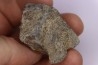 Dinosaur scute: Sauropelta edwardsorum (Akylosaurian) - Lower Cretaceous - CLOVERLY Fmt, Bighorn Co, Wyoming, USA