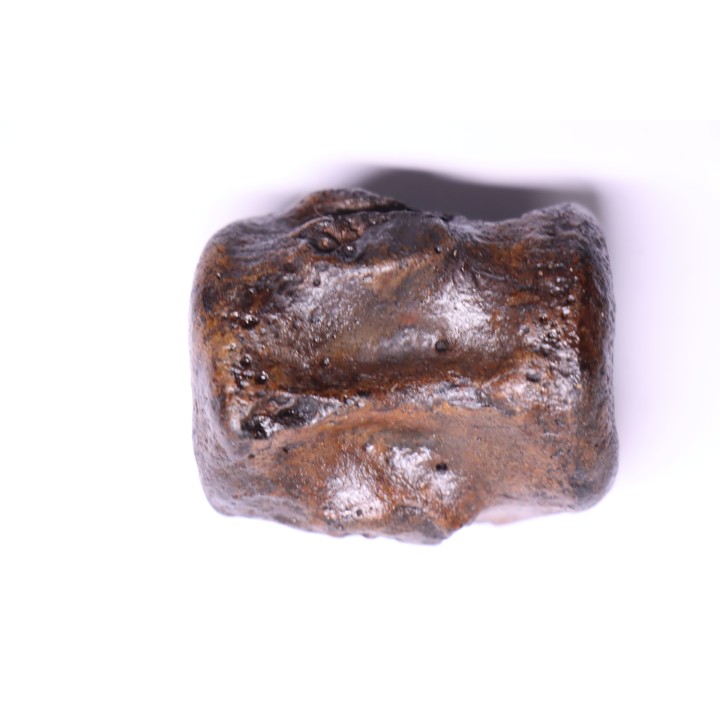 vertèbre de dinosaure HADROSAURE  edmontosaurus - Hell Creek  Fmt - crétacé supérieur - Montana - USA