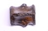 vertebra dinosaur hadrosaure : edmontosaure