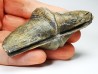 Cyrtospirifer grabaui - Late Devonian - Barvaux - Belgium